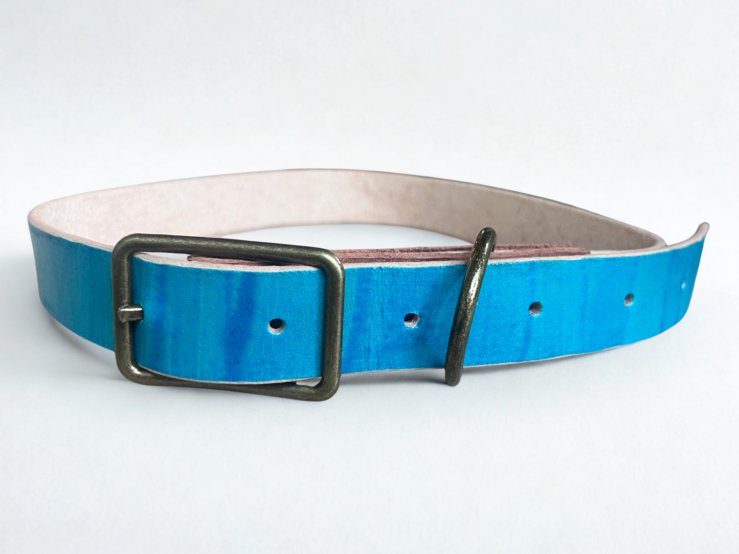 The Ruff and Ready (Turquoise, Large/XL Dog)